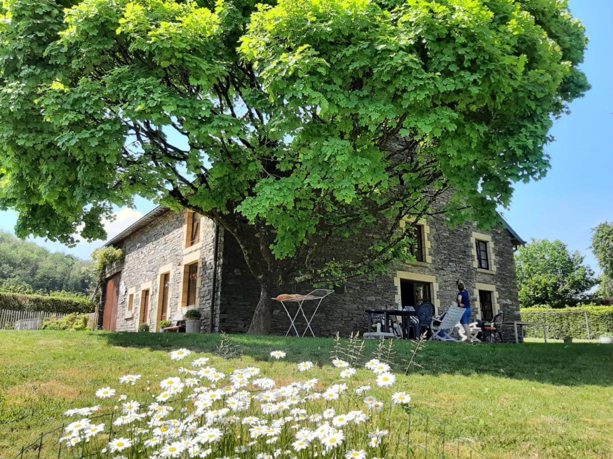 La Maison Des Marguerites فريسه - سور - سيمويس المظهر الخارجي الصورة